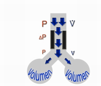 Lungenfüllung ist eine Folge von Druckdifferenzen